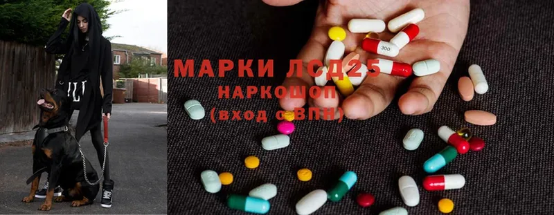 Лсд 25 экстази ecstasy  наркота  Мышкин 